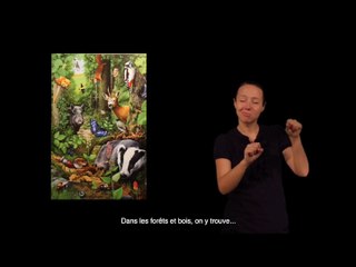 Le musée du Vexin français en Langue des signes française (version complète)