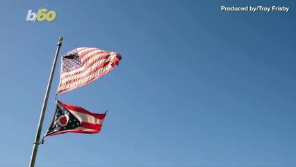 This German Shepherd Is Better at Playing Jenga Than You