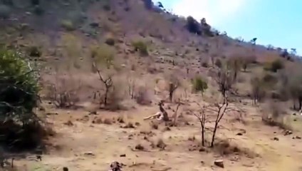 부산콜걸 ㅣㅣ ☎070x5180x1618 {카톡BO57} 부산출장안마 부산출장샵 부산출장마사지 ▒ 부산출장오피 ▒ 부산출장홈타이 ▒ 부산출장아로마