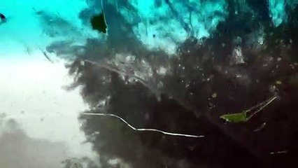 Couple Surprised at Witnessing a Tornado