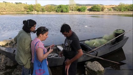 PESCA COM REDES RIO TEJO ORTIGA MAÇÃO PORTUGAL