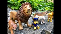 Paw Patrol Toys LIONS and TIGERS Fun Facts For Kids