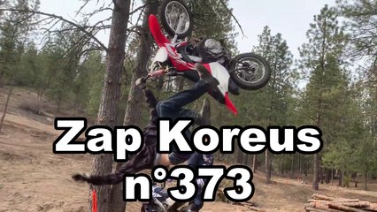 Zap Koreus n° 373
