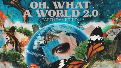 Kacey Musgraves - Oh, What a World 2.0