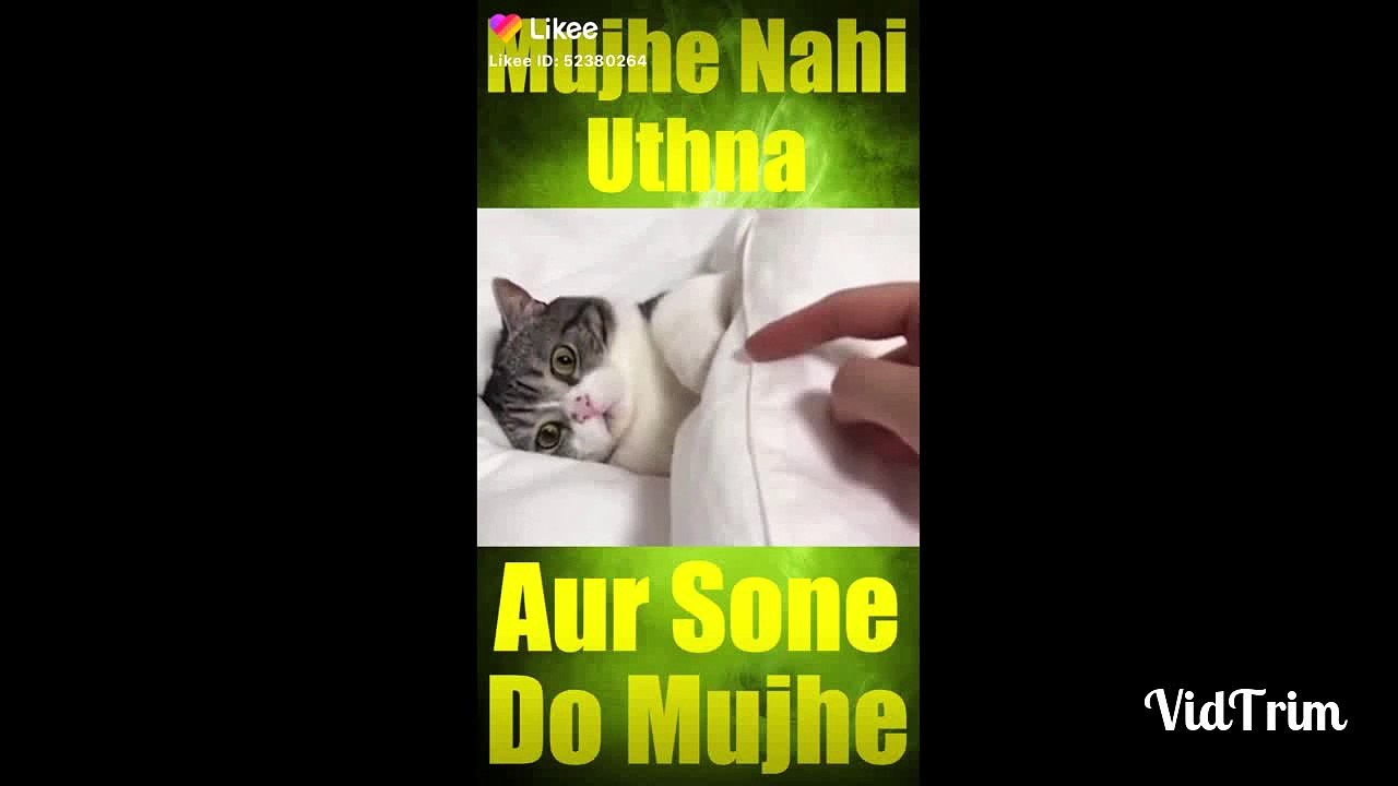 VidTrim_2546