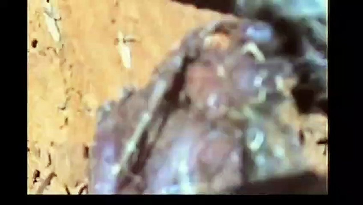 함양출장ㅁㅏ ㅅㅏ ㅈㅣ ▒후불제▒ O1OE9546E5703 {카톡YOK88} ' 20대' 함양출장마사지럭셔리 출장@마사지 ♥◫≪