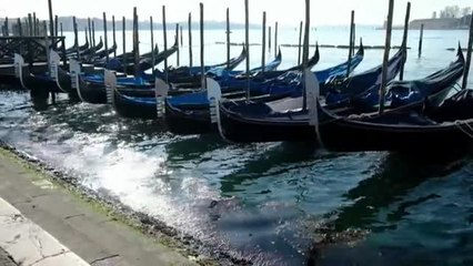 Venecia, una ciudad vacía y silenciosa que florece en una primavera de confinamiento