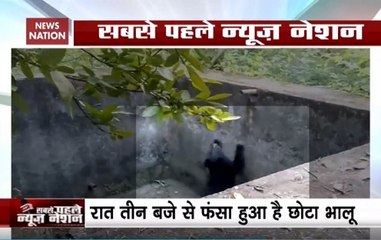 Watch: Bear Trapped In Water Tank, Rescued By Forest Officers