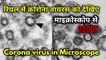 माइक्रोस्कोप से कैसा दिखता है कोरोना वायरस | corona virus under microscope | the science news hindi