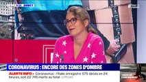 Pr Valérie Pourcher: 