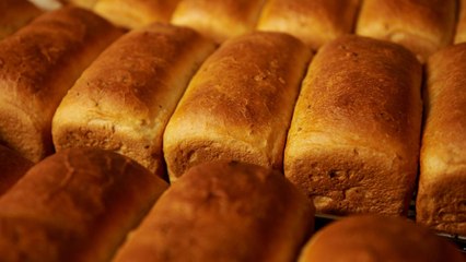 How to Store Bread So It Stays Fresh Longer