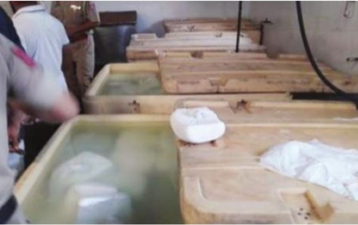 Huge Quantity Of Adulterated Paneer Seized From Greater Noida, Meerut