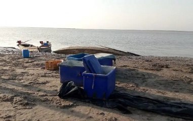 5 Pakistani Fishing Boats Found In Harami Nala Creek Area In Gujarat