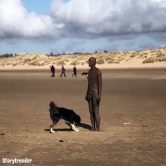 Ce chien veut jouer... avec un homme-statue