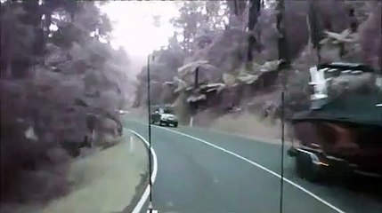 Des dizaines d'arbres tombent d'un coup sur la route