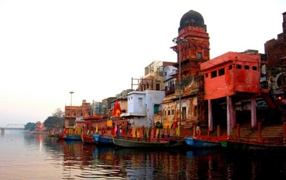 Toxic waste pollutes India's sacred Yamuna River; thousands dead fish on Mathura ghats