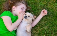 THIS human-animal bond will amaze you