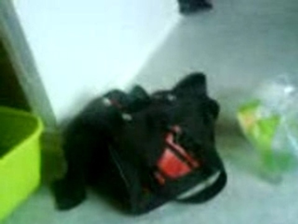 Le retour du sac vivant