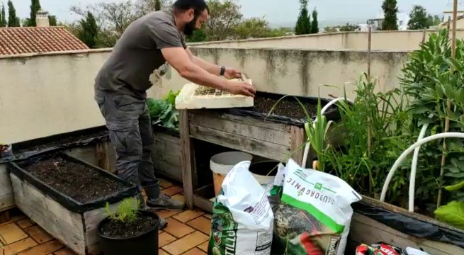 Tu huerto en casa: cómo tener tus propias hortalizas en este confinamiento