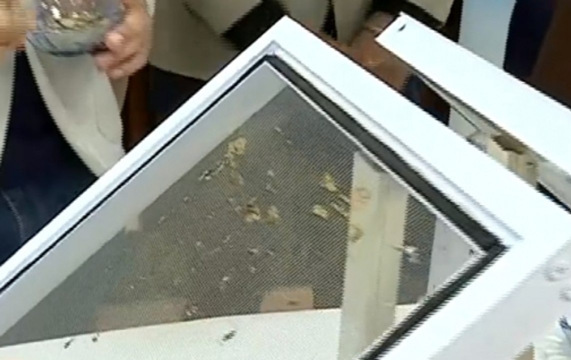 IIT students launch 'Pollution Net' on World Pollution Prevention Day