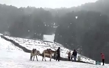 Heavy snowfall in Kashmir, national highway closed