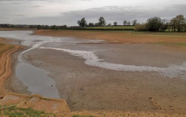Impact of Indian’s decision: Sutlej river turns into narrow drain