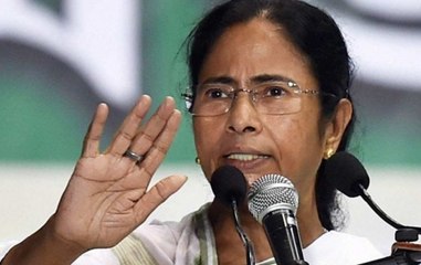 Prayed to Bapu (Mahatma Gandhi) to remove BJP, and save India: Mamata