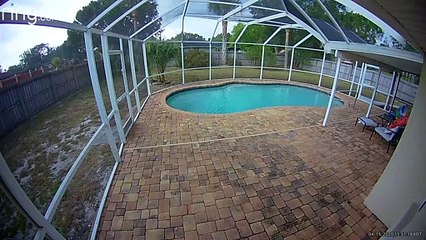 Screen Door Helps Beach Ball Escape