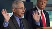 Director of Italian Hospital Says Italy Would Welcome Dr. Fauci "With Open Arms"