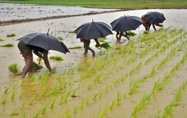 Modi government hiked MSP for over 22 different crops: FM Piyush Goyal