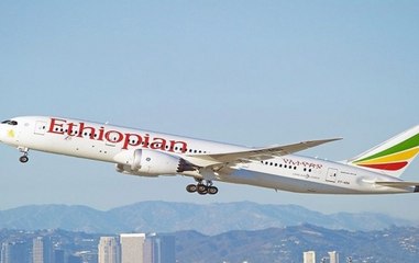 Ethiopian Airlines Boeing 737 crash: Rescuers look for survivors