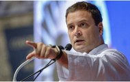 LS Polls Result: Trend shows Rahul Gandhi leading from Wayanad seat