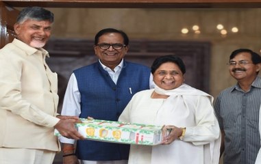 LS Polls: Naidu meets Akhilesh, Mayawati to form anti-BJP front