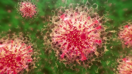 IMF: Global Economy May Not Recover By 2021