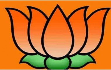 Lok Sabha Election Result: NDA’s lead crosses 250 mark