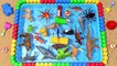 Aprende los colores con Insectos y animales salvajes en agua azul Tiburón juguetes para los niños