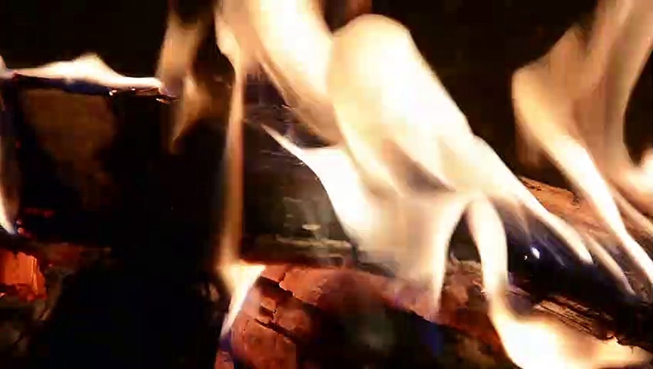Burning wood Fire
