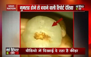 Reality Check: Are these worms in litchis causing encephalitis?