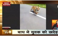 Top 100 News: Biker escapes death after being chased by tiger