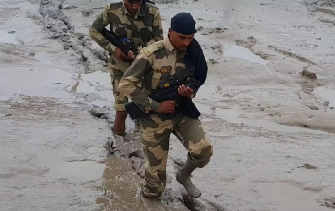 Harami Nala: How BSF’s ‘Creek Crocodile Commandos’ Protect Marshy Area
