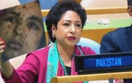 Pakistani heckles Maleeha Lodhi over corruption, says you are a thief