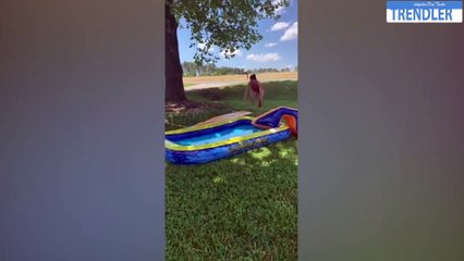 Try Not To Laugh  Funny Fails Videos 2020 Funny Videos 2020 Trendler #PART6