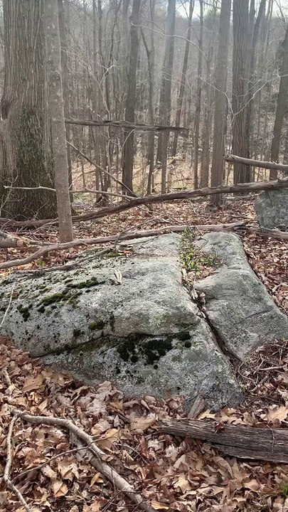 Brian Ghilliotti: Westbrook, CT: Initial Assessment: Investigating Pondside Observation Hill.