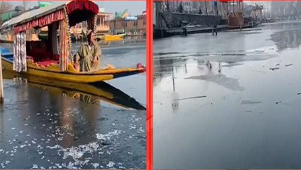 Dal Lake Frozen, Srinagar Records Minus 5.6 Degrees Celsius