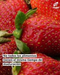 Guía para conservar frutas y verduras en casa