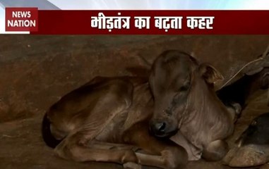 Here's how BMC plans to curb incidents of cow smuggling