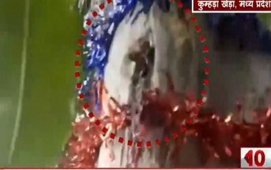 Viral Video: This Tree Produces Fresh Water In Madhya Pradesh