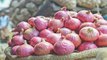 Onion Prices Spike from Rs 25 To Rs 60 Per Kg in MP, Maharashtra