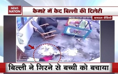 Watch: Cat Saves Toddler From Falling Down Stairs In Colombia