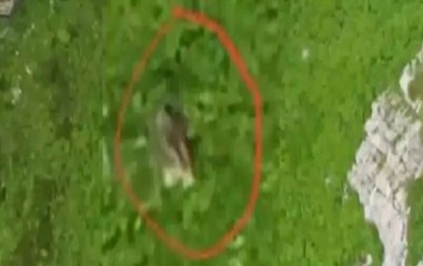 Indian Army Releases Pictures Of Eliminated Pakistan Soldiers